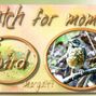 Watch for momma bird