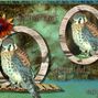 Sparrow hawk steppin' out