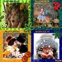 SEASONS OF THE YEAR