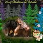 Merry Christmas Daisy Trail Friends!!