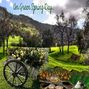 An Green Spring Day..