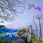 Dawn..