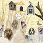 Loving Cats & Dogs