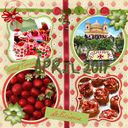 strawberry fun strawberry fun