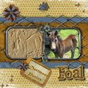 Dartmoor Ponies