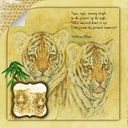 Tiger, Tiger