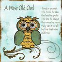 Wise Old Owl
