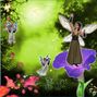 Morningwork on fairy nature