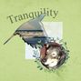 Tranquility Word Challenge