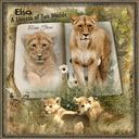 Born Free Born Free