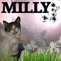 Milly