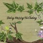 Fairy Wishes.craft