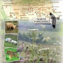North Yorkshire North Yorkshire