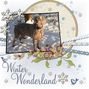 Winter Wonderland