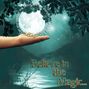 Capture the moon_Bright Stars