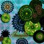 kaleido-playing