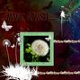Flutter_make a wish