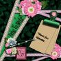 Thank You Algera_ a story to tell