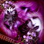Moments of Mauveness