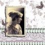 Gentle Lavender