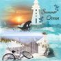 Summer Ocean
