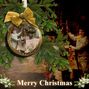 Ye olde Christmas Sparkle