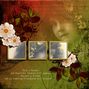 wildflower 2
