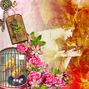 Romantique delights