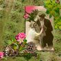 So Romantique