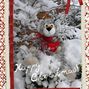 CHRISTMAS CARD FOR 2011