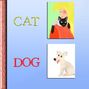 CAT DOG PRACTICE PAGE