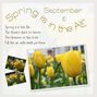 Spring is in the Air