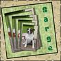 sarge stacked frame