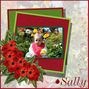 Sally