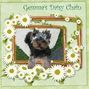 Daisy Chain Halo
