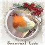 Xmas Robin