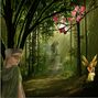 Fairy Forest