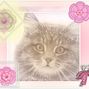 Kitty
