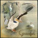 Graceful flight Graceful flight