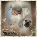 Touch of Friendship Touch of Friendship
