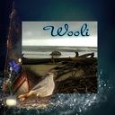 Wooli Wooli