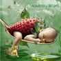 Strawberry dreams