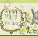 easter Rabbit ! easter Rabbit !