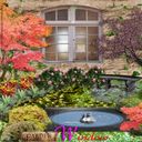 garden window garden window