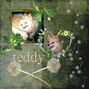 Teddy