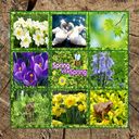 Spring Into Spring Spring Into Spring