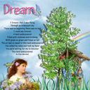 Dream Dream