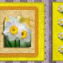 Narcissus