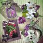 The Flowers of Summer