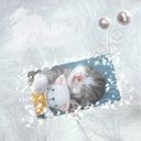 DREAMS DREAMS
